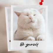 ヒメ日記 2026/01/22 13:31 投稿 瑠璃（るり） 丸妻 錦糸町店