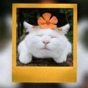 ヒメ日記 2026/01/22 14:08 投稿 瑠璃（るり） 丸妻 錦糸町店