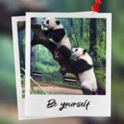 ヒメ日記 2026/01/25 13:34 投稿 瑠璃（るり） 丸妻 錦糸町店