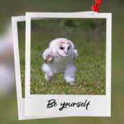 ヒメ日記 2026/01/30 13:47 投稿 瑠璃（るり） 丸妻 錦糸町店