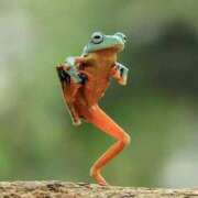 ヒメ日記 2026/01/30 14:24 投稿 瑠璃（るり） 丸妻 錦糸町店