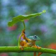 ヒメ日記 2026/01/30 15:40 投稿 瑠璃（るり） 丸妻 錦糸町店