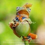 ヒメ日記 2026/02/01 11:35 投稿 瑠璃（るり） 丸妻 錦糸町店