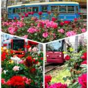 ヒメ日記 2026/02/01 14:10 投稿 瑠璃（るり） 丸妻 錦糸町店