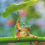 ヒメ日記 2026/02/04 12:11 投稿 瑠璃（るり） 丸妻 錦糸町店