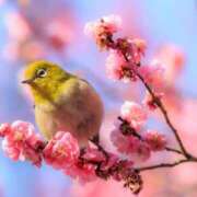 ヒメ日記 2026/02/07 17:03 投稿 瑠璃（るり） 丸妻 錦糸町店