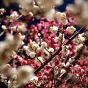 ヒメ日記 2026/02/21 13:49 投稿 瑠璃（るり） 丸妻 錦糸町店