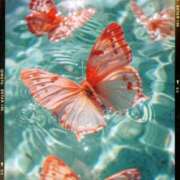 ヒメ日記 2026/02/21 19:16 投稿 瑠璃（るり） 丸妻 錦糸町店