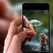 ヒメ日記 2026/02/26 19:22 投稿 瑠璃（るり） 丸妻 錦糸町店