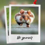 ヒメ日記 2026/02/27 12:49 投稿 瑠璃（るり） 丸妻 錦糸町店