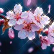 ヒメ日記 2026/02/27 13:27 投稿 瑠璃（るり） 丸妻 錦糸町店