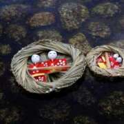 ヒメ日記 2026/03/03 17:11 投稿 瑠璃（るり） 丸妻 錦糸町店