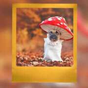 ヒメ日記 2026/03/04 15:43 投稿 瑠璃（るり） 丸妻 錦糸町店