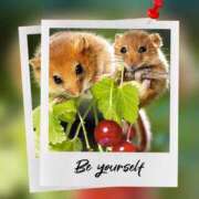 ヒメ日記 2026/03/15 23:29 投稿 瑠璃（るり） 丸妻 錦糸町店