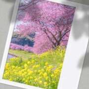 ヒメ日記 2026/03/18 11:03 投稿 瑠璃（るり） 丸妻 錦糸町店