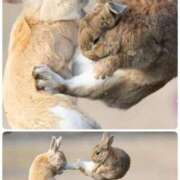 ヒメ日記 2026/03/21 13:35 投稿 瑠璃（るり） 丸妻 錦糸町店