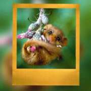 ヒメ日記 2026/03/23 22:53 投稿 瑠璃（るり） 丸妻 錦糸町店