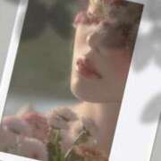 ヒメ日記 2026/03/23 23:50 投稿 瑠璃（るり） 丸妻 錦糸町店