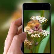 ヒメ日記 2026/03/24 11:48 投稿 瑠璃（るり） 丸妻 錦糸町店