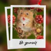 ヒメ日記 2026/03/24 16:19 投稿 瑠璃（るり） 丸妻 錦糸町店