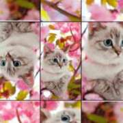 ヒメ日記 2026/03/28 21:18 投稿 瑠璃（るり） 丸妻 錦糸町店