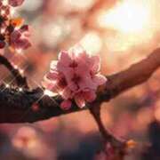 ヒメ日記 2026/03/29 12:12 投稿 瑠璃（るり） 丸妻 錦糸町店