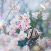 瑠璃（るり） リスケ🌸 丸妻 錦糸町店