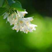 ヒメ日記 2026/04/18 11:11 投稿 瑠璃（るり） 丸妻 錦糸町店