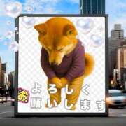 ヒメ日記 2026/06/14 19:09 投稿 瑠璃（るり） 丸妻 錦糸町店