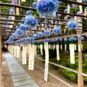 ヒメ日記 2026/07/14 11:13 投稿 瑠璃（るり） 丸妻 錦糸町店