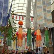 ヒメ日記 2026/08/08 14:55 投稿 瑠璃（るり） 丸妻 錦糸町店