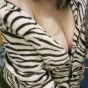 ヒメ日記 2025/04/03 11:21 投稿 いずみ ぽちゃ・巨乳専門店　太田足利ちゃんこ