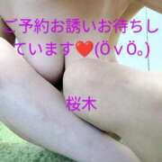 ヒメ日記 2025/01/20 10:30 投稿 桜木 熟女の風俗最終章　鶯谷店