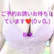 ヒメ日記 2025/02/13 10:20 投稿 桜木 熟女の風俗最終章　鶯谷店