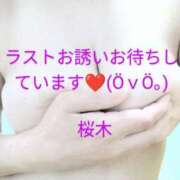 ヒメ日記 2025/02/13 18:07 投稿 桜木 熟女の風俗最終章　鶯谷店