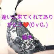 ヒメ日記 2025/03/04 10:00 投稿 桜木 熟女の風俗最終章　鶯谷店