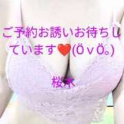 ヒメ日記 2025/03/15 10:50 投稿 桜木 熟女の風俗最終章　鶯谷店