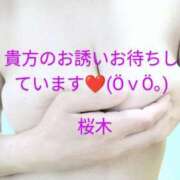 ヒメ日記 2025/03/19 13:32 投稿 桜木 熟女の風俗最終章　鶯谷店