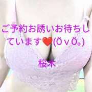 ヒメ日記 2025/03/31 10:50 投稿 桜木 熟女の風俗最終章　鶯谷店