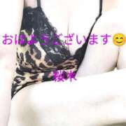 ヒメ日記 2025/04/01 07:50 投稿 桜木 熟女の風俗最終章　鶯谷店