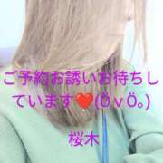 ヒメ日記 2025/04/24 10:56 投稿 桜木 熟女の風俗最終章　鶯谷店