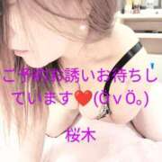 ヒメ日記 2025/06/10 10:47 投稿 桜木 熟女の風俗最終章　鶯谷店