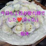 ヒメ日記 2025/06/12 00:06 投稿 桜木 熟女の風俗最終章　鶯谷店