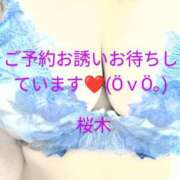 ヒメ日記 2025/06/13 10:36 投稿 桜木 熟女の風俗最終章　鶯谷店