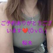 ヒメ日記 2025/07/07 10:46 投稿 桜木 熟女の風俗最終章　鶯谷店