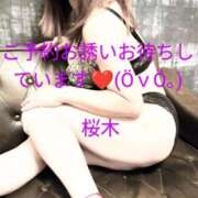 ヒメ日記 2025/07/14 16:26 投稿 桜木 熟女の風俗最終章　鶯谷店