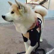 ヒメ日記 2025/10/12 14:26 投稿 桜木 熟女の風俗最終章　鶯谷店