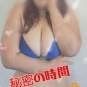 ヒメ日記 2024/12/15 17:16 投稿 らら 山梨甲府甲斐ちゃんこ