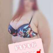 ヒメ日記 2024/12/19 11:52 投稿 らら 山梨甲府甲斐ちゃんこ