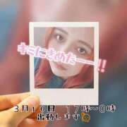 ヒメ日記 2025/03/08 17:19 投稿 らら 山梨甲府甲斐ちゃんこ